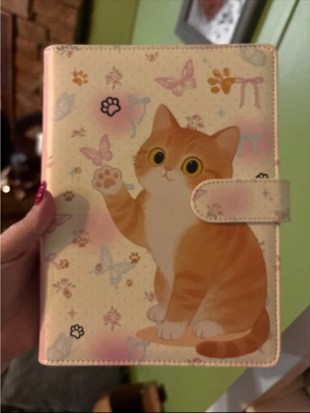 A5 Cute Orange Tabby Cat Folio Case - Pink Accents
